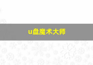 u盘魔术大师