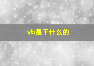 vb是干什么的