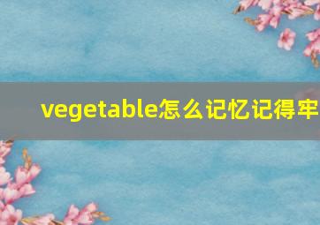 vegetable怎么记忆记得牢