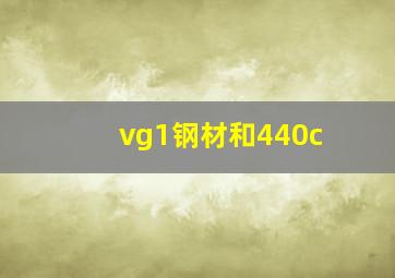 vg1钢材和440c