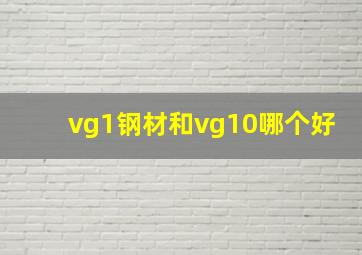 vg1钢材和vg10哪个好