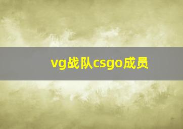 vg战队csgo成员