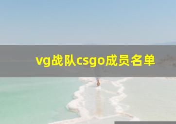 vg战队csgo成员名单