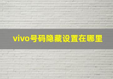 vivo号码隐藏设置在哪里