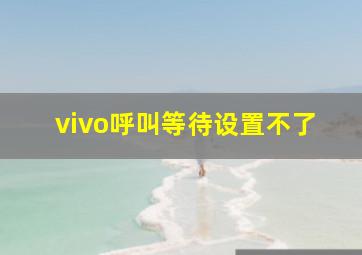 vivo呼叫等待设置不了