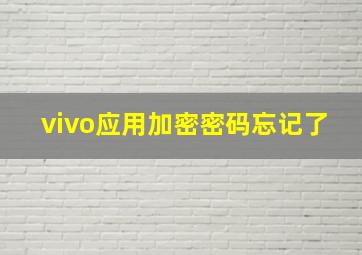 vivo应用加密密码忘记了