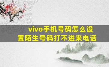 vivo手机号码怎么设置陌生号码打不进来电话