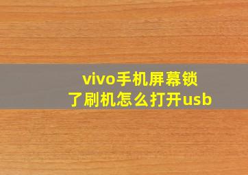 vivo手机屏幕锁了刷机怎么打开usb