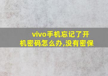 vivo手机忘记了开机密码怎么办,没有密保