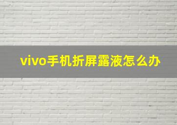 vivo手机折屏露液怎么办