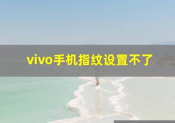 vivo手机指纹设置不了