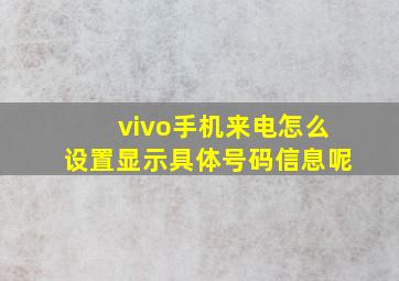 vivo手机来电怎么设置显示具体号码信息呢