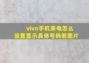 vivo手机来电怎么设置显示具体号码呢图片