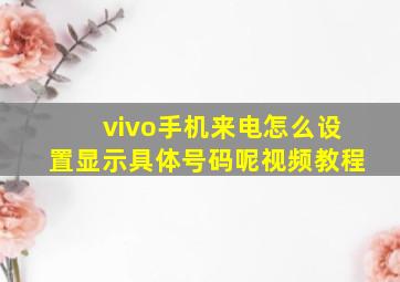 vivo手机来电怎么设置显示具体号码呢视频教程