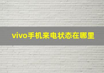 vivo手机来电状态在哪里