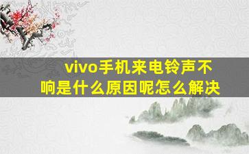 vivo手机来电铃声不响是什么原因呢怎么解决