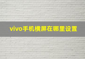 vivo手机横屏在哪里设置