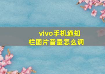 vivo手机通知栏图片音量怎么调