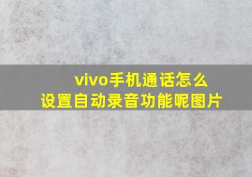 vivo手机通话怎么设置自动录音功能呢图片