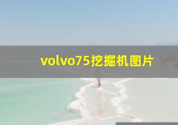 volvo75挖掘机图片