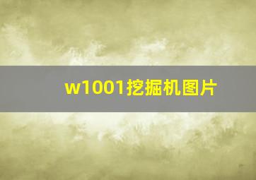 w1001挖掘机图片