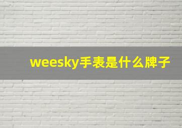 weesky手表是什么牌子