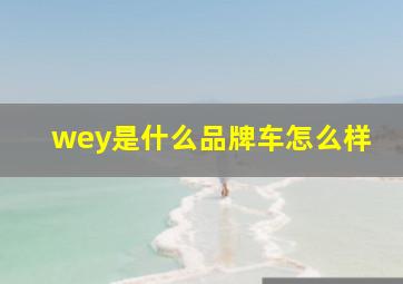 wey是什么品牌车怎么样