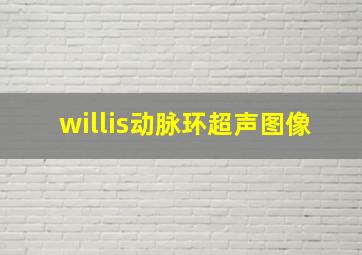 willis动脉环超声图像