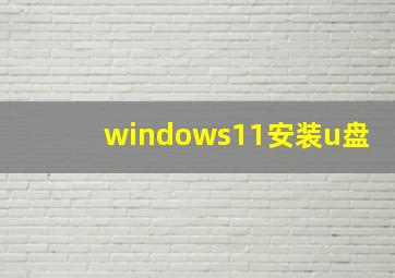 windows11安装u盘