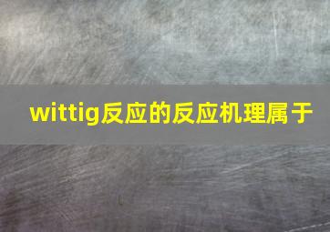 wittig反应的反应机理属于