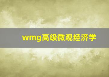 wmg高级微观经济学