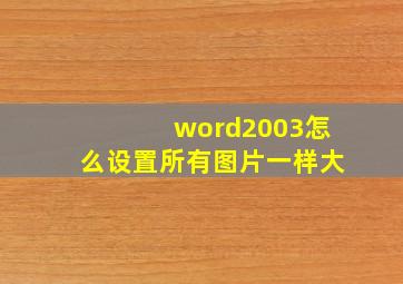 word2003怎么设置所有图片一样大