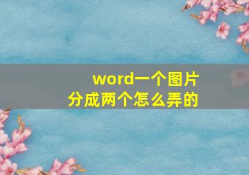 word一个图片分成两个怎么弄的