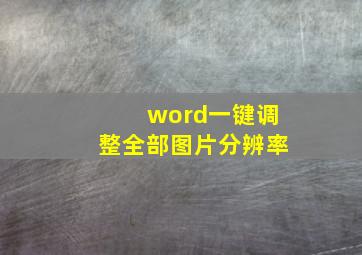 word一键调整全部图片分辨率