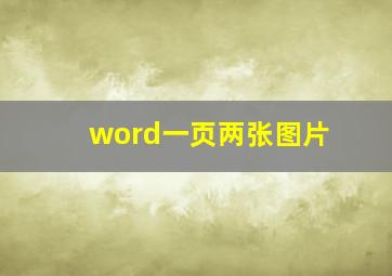 word一页两张图片