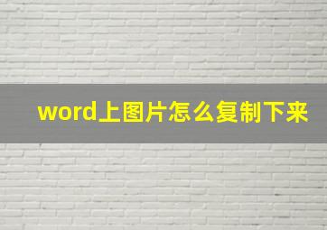 word上图片怎么复制下来