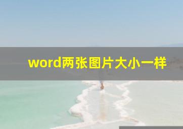 word两张图片大小一样