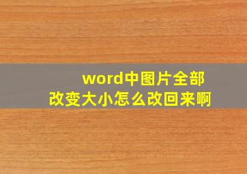 word中图片全部改变大小怎么改回来啊