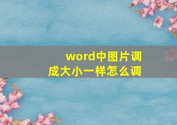 word中图片调成大小一样怎么调