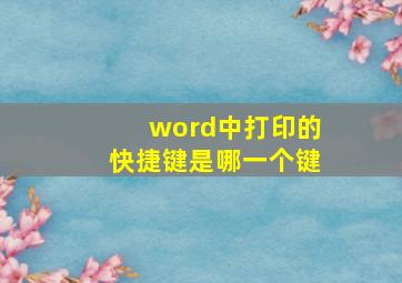 word中打印的快捷键是哪一个键