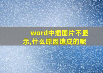 word中插图片不显示,什么原因造成的呢