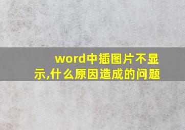 word中插图片不显示,什么原因造成的问题