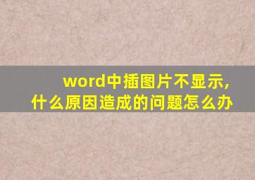 word中插图片不显示,什么原因造成的问题怎么办