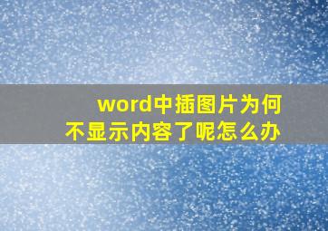 word中插图片为何不显示内容了呢怎么办