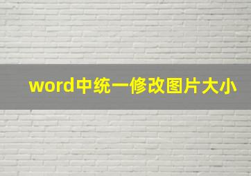 word中统一修改图片大小