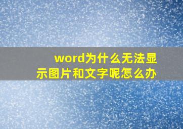 word为什么无法显示图片和文字呢怎么办