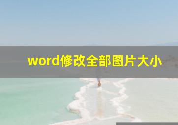 word修改全部图片大小