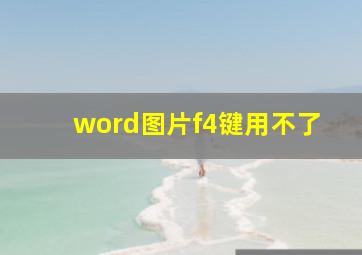 word图片f4键用不了