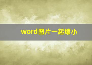 word图片一起缩小