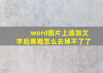 word图片上添加文字后黑框怎么去掉不了了